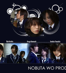 Nobuta wo Produce